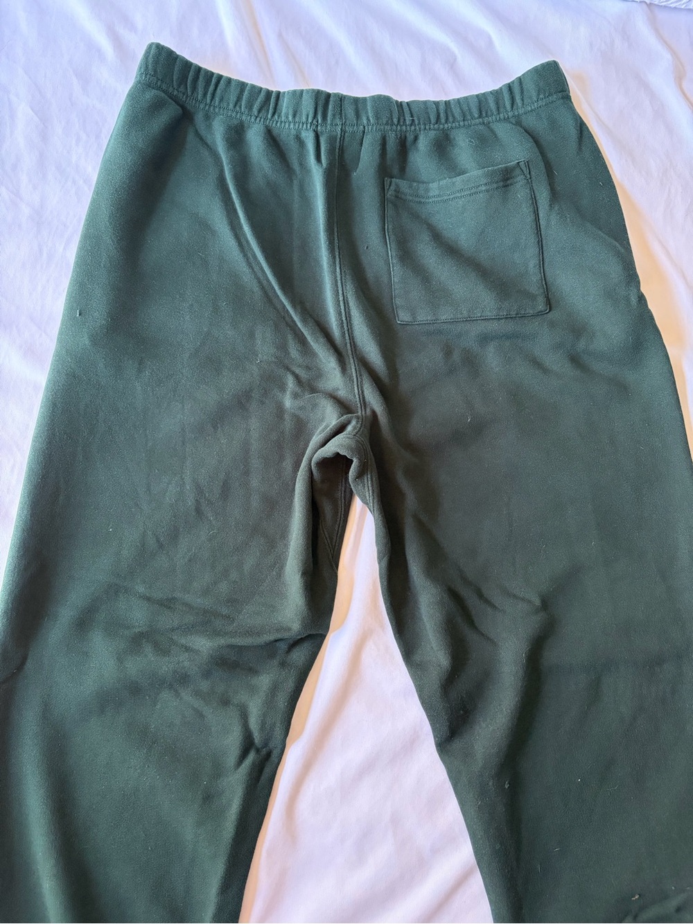 Wicked Roots Green Sweatpants - Picture 7 of 8